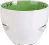 A white cappuccino cup with a green interior, featuring the Friends logo and coffee cup graphics. Anteprima dell’immagine prodotto