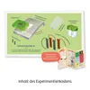 Limo Uhr - Strom aus Limonade  Mitbring-Experiment Produktbild-Vorschau 4