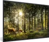 MuchoWow® MuchoWow® Gerahmtes Poster Hirsche - Natur - Wald Produktbild-Vorschau 1