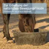 AniForte Mauke Formel für Pferde 1 kg - natürliche Produktbild-Vorschau 6
