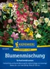 Kiepenkerl Blumensamen Schattenblumen 2 - 4 m² Produktbild-Vorschau 3