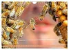 Ein Leben für den Honig: Bienen und Imker (Wandkalender Produktbild-Vorschau 3