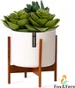 Fox & Fern Porte Plante Interieur, Support de Plantes en Voir les images du produit 1