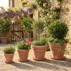 Teramico Premium Terracotta Untersetzer Ø 42 cm | Frostfest Produktbild-Vorschau 5