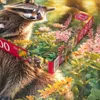 Puzzle 500 elementów. Odkrywca lasu 20265 Produktbild-Vorschau 2