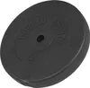 Gorilla Sports Činkový kotúč z plastu, výplň cement, 15 kg Náhľad obrázku produktu 1