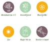 Green boutiQ - Plante sur tige - Rosmarinus officinalis - Voir les images du produit 11