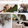 PawHut Kratzstamm für Katzen Kratzsäule aus Sisal stabiler Produktbild-Vorschau 6