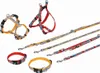 Nobby Leine "Style" L: 120 cm; B: 20 mm, orange Produktbild-Vorschau 2