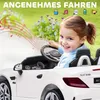 AIYAPLAY 370-222V90WT Elektrický vozík - N Náhľad obrázku produktu 6