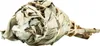 A bundle of dried white sage, also known as incense or a torch, is presented against a white background. Podgląd zdjęcia produktu