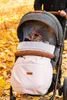 A baby in a stroller on a path covered with autumn leaves. Náhled obrázku produktu