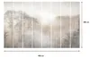 LUMASOUL Fototapeta 400x280 cm, Forest 4, wysokiej jakości Podgląd zdjęcia produktu 5