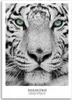 Leinwandbild weißer tiger 60x90 cm Feeby grau wandbild Produktbild-Vorschau 3