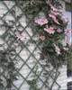 Traliccio da giardino Nature 100x200 cm PVC verde 6040704 Anteprima dell’immagine prodotto 1