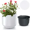 A white planter with a pink rose plant and a separate gray inner pot are displayed against a white background. Náhled obrázku produktu