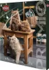 TRIXIE PREMIO Adventskalender für Katzen, 24,5 × 37 × 3,5 Náhľad obrázku produktu 4
