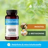 Lipotropní faktory 100 kapslí Náhled obrázku produktu 5