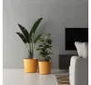Übertopf Fyre Kunststoff Ø 40 cm H 39 cm mango inkl. Rollen Produktbild-Vorschau 4