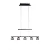 LED závesné svietidlo 5x4W HYDRA 2209-18 Paul Neuhaus Náhľad obrázku produktu 8