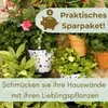 4er Set Blumentopf Wand Blumentopf Wandmontage Produktbild-Vorschau 6
