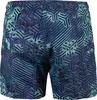 Arena Men's Beach Short Allover Green Lake Multi Green Lake Produktbild-Vorschau 2