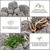 Aquarium Natursteine Black Lava Pebbles Steine 1 Stück Gr.S Produktbild-Vorschau 4