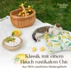 A picnic setup on grass with a basket, food, a cat, and a lemon-themed pillow. Produktbild-Vorschau