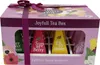 Becky's Joyfull Pyramid Tea Box 12er Produktbild-Vorschau 3