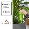 Scheurich Wasserspender Copa XXL | 1x Grün | 1000 ml Produktbild-Vorschau 1