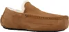 Ugg Ascot M Chestnut - Heren Pantoffel - 1101110-CHE Produktbild-Vorschau 5