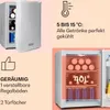 Collage of images showing a mini refrigerator, its features, and capacity. Produktbild-Vorschau