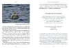 Wir Wale Produktbild-Vorschau 9