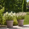 Euro3Plast Kübel MITU PAC 100cm tau. taupe, B90473 Produktbild-Vorschau 2