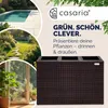 Collage of lifestyle images and a product shot of a planter. Produktbild-Vorschau