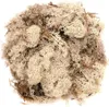 Glorex Islandmoos natur 50 Gramm Produktbild-Vorschau 1