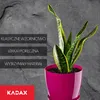 Plastový kvetináč KADAX "Agen", kvetináč s podšálkou. Náhľad obrázku produktu 7