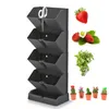 A vertical planter with strawberries, herbs, and small potted plants displayed around it. Náhled obrázku produktu