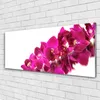 Glasbilder 125x50 Wandbild Druck auf Glas Blumen Pflanzen Produktbild-Vorschau 2