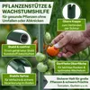 TTL GARDEN Rankstäbe 5er Set 90cm 11mm Pflanzenstütze grün Produktbild-Vorschau 3