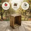 A wooden crate is shown in an orchard setting with apple trees and ladders in the background. Náhled obrázku produktu