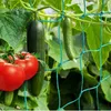 ANYUNKEY Premium Ranknetz 2,5x2m, Rankhilfe für Gurken & Produktbild-Vorschau 1