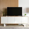 Loft TV-Schrank TV-Lowboard Apollo 2 Viertürig  Zwei Produktbild-Vorschau 5
