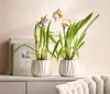 Dehner Übertopf Fan, bauchiger Indoor Blumentopf, Ø außen Produktbild-Vorschau 2