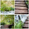 Bilder auf glas - Einteilig - Nationalpark Natur Produktbild-Vorschau 8