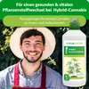 Purgrün Hybrid-Bloom-Dünger 1 Liter, Produktbild-Vorschau 2
