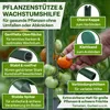 TTL GARDEN Rankstäbe 10er Set 240cm 16mm extra stabil + Produktbild-Vorschau 3