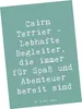 Mr. & Mrs. Panda Postkarte Spruch Cairn Terrier Begleiter - Produktbild-Vorschau 1