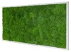 Moosbild Wave Design (110x55, weiß) Produktbild-Vorschau 1