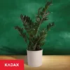 KADAX Blumentopf mit Holzspänen "Lecce", Blumentopfschutz, Produktbild-Vorschau 7